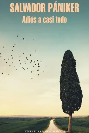 Adiós a Casi Todo Certificado