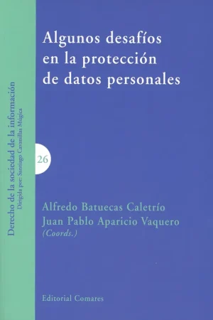 Algunos desafíos en la protección de datos personales Precio Rebajado